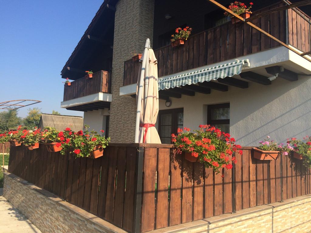 Pensiunea Dany - Crys Zvoristea Exterior foto