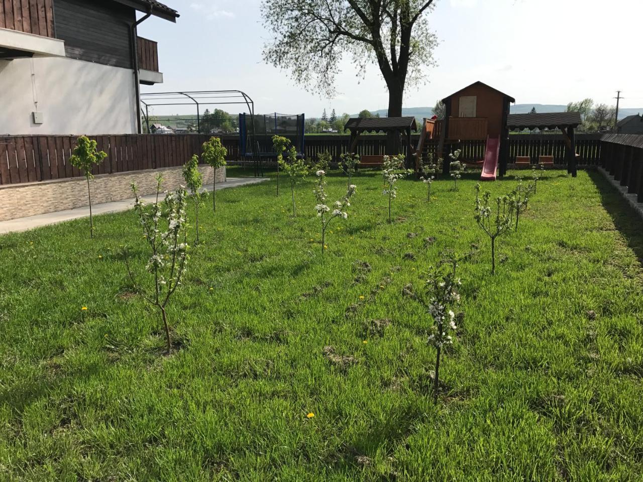 Pensiunea Dany - Crys Zvoristea Exterior foto
